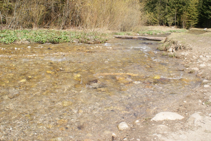 Dolina Chochołowska potok
