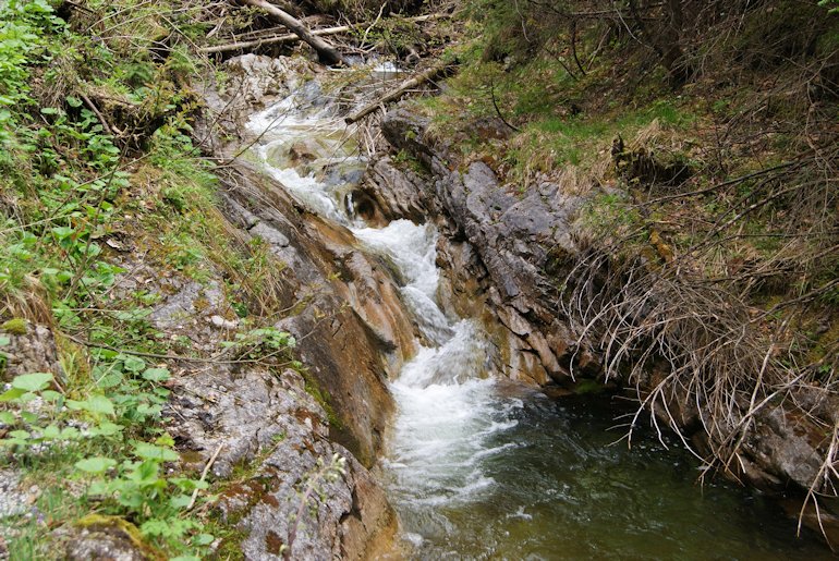 potok w dolinie Strążyskiej