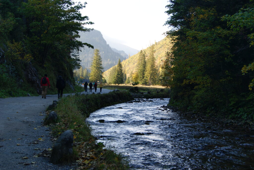 Potok w dolinie Kościeliskiej