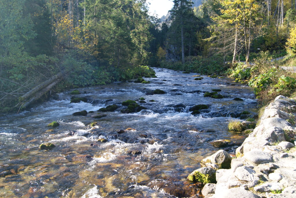 Potok w dolinie Kościeliskiej