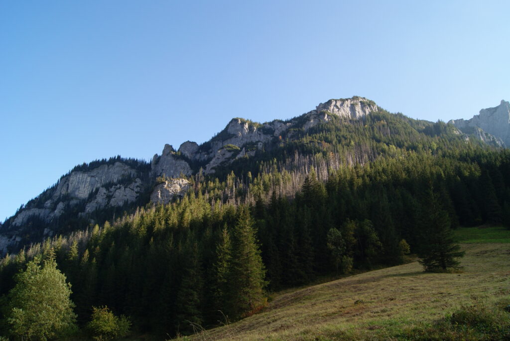 widoki na pobliskie góry z doliny Kościeliskiej