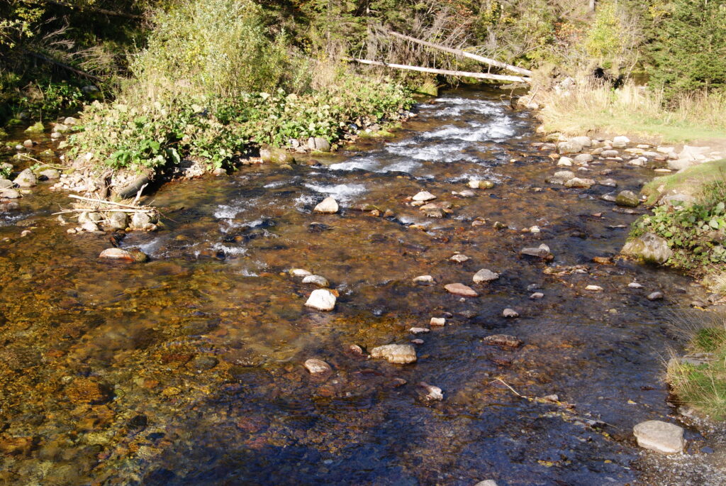 Potok w dolinie Kościeliskiej