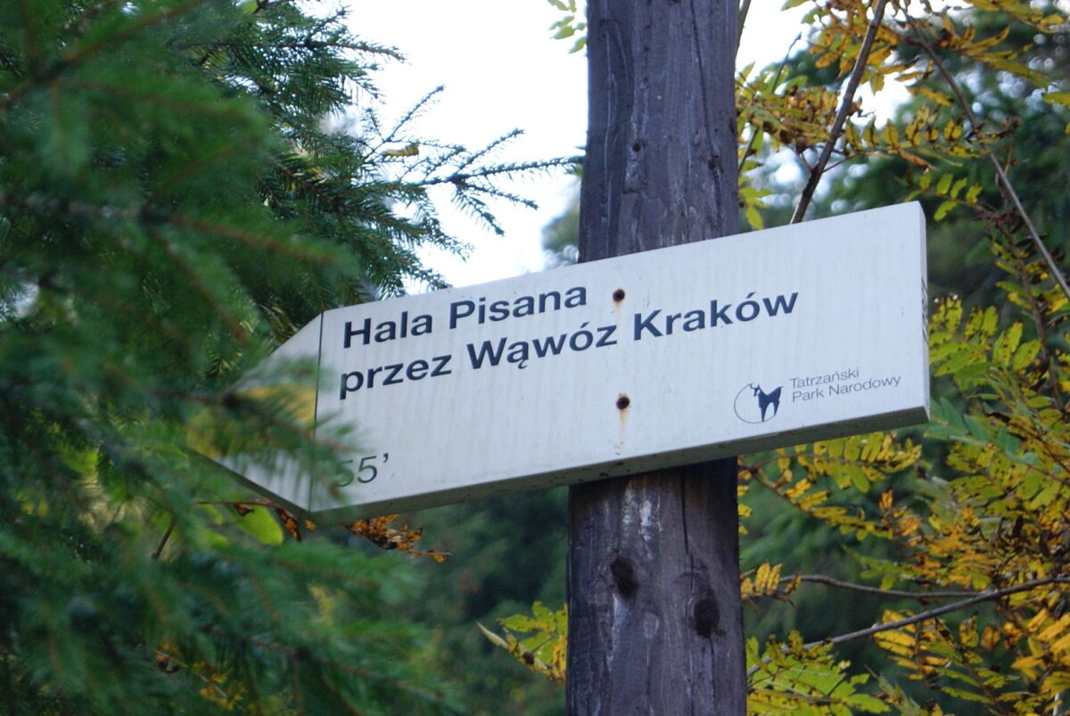 drogowskaz do wąwozu Kraków