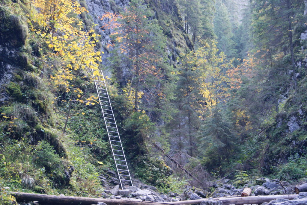 Wąwóz Kraków - drabinka na początku szlaku jednokierunkowego.