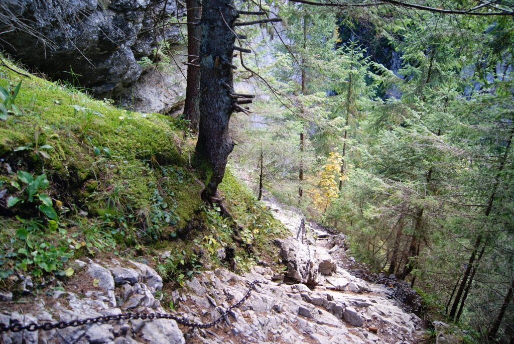 Wąwóz Kraków - zejście do doliny Pisanej