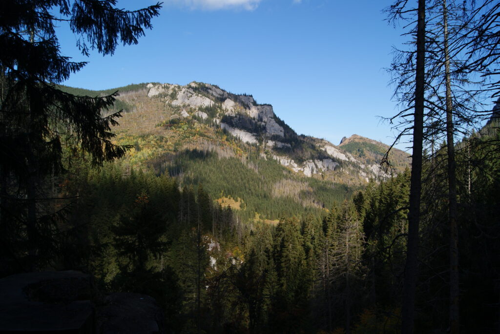 Widok na górę na zejściu do doliny.