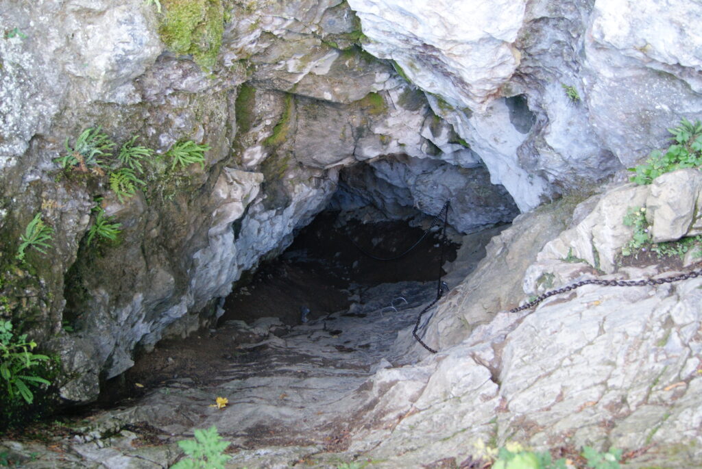 Wąwóz Kraków - Smocza Jama