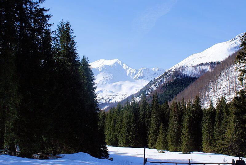 Tatry Zachodnie z polany Ornak