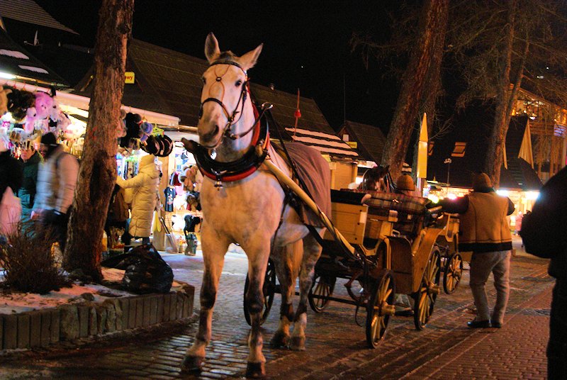 Bryczka na Krupówkach - lokalna atrakcja.