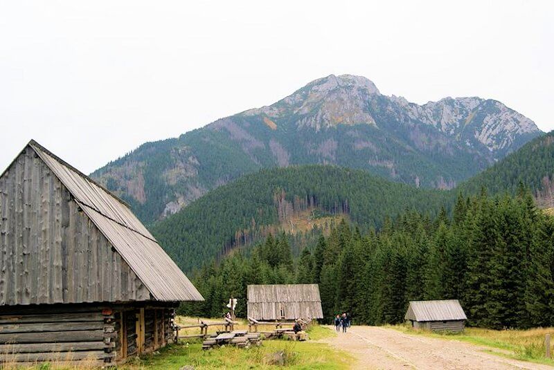 Szlak do schroniska.