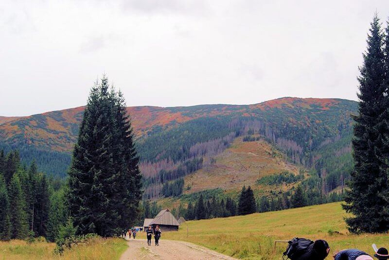 Spacer z dziećmi oraz psem Dolina Chochołowska Tatry