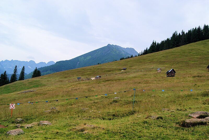 Rusinowa Polana z widokiem na Tatry – panorama z polany, bacówka i oscypki – łatwy szlak z Wierch Poroniec