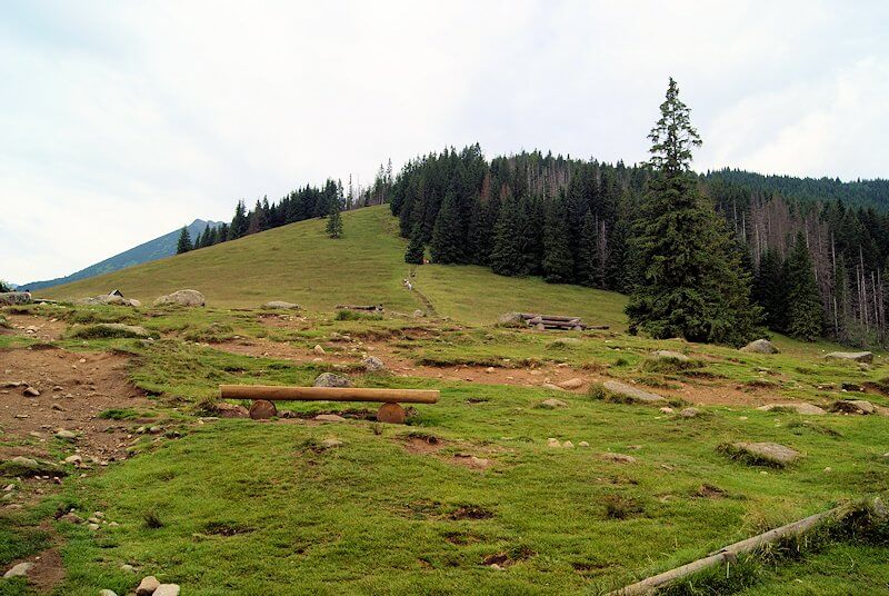 Rusinowa Polana z widokiem na Tatry – panorama z polany, bacówka i oscypki – łatwy szlak z Wierch Poroniec