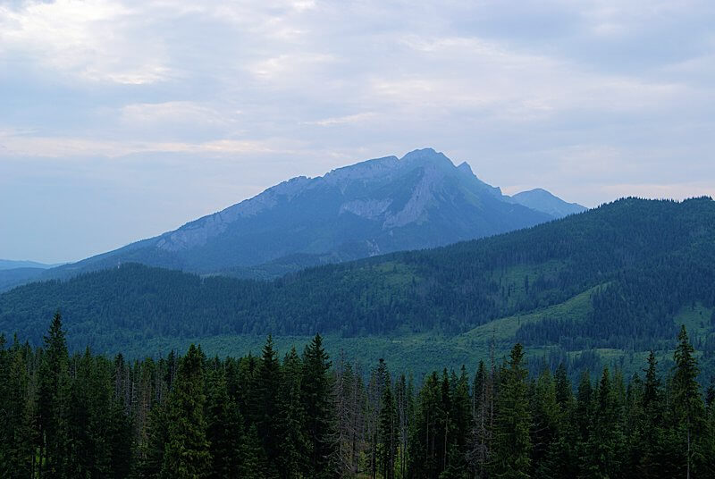 Rusinowa Polana z widokiem na Tatry – panorama z polany, bacówka i oscypki – łatwy szlak z Wierch Poroniec