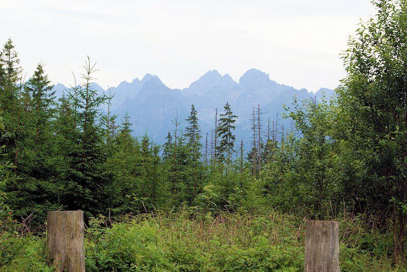 Rusinowa Polana z widokiem na Tatry – panorama z polany, bacówka i oscypki – lato na szlaku z Wierch Poroniec