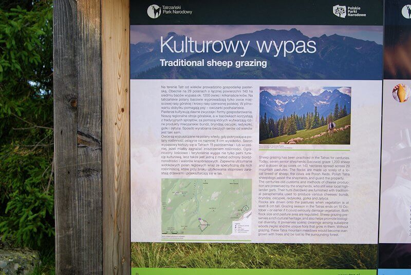 Tablica informacyjna przy bacówce - tradycyjny wypas owiec