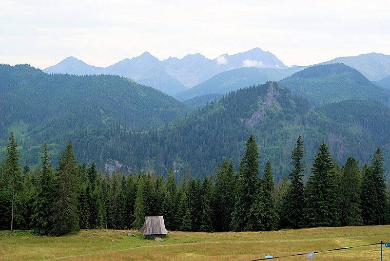 Rusinowa Polana z widokiem na Tatry – panorama z polany, bacówka i oscypki – łatwy szlak z Wierch Poroniec